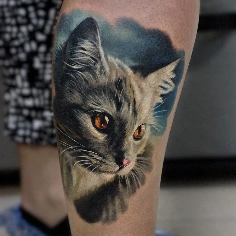 Портрет кота